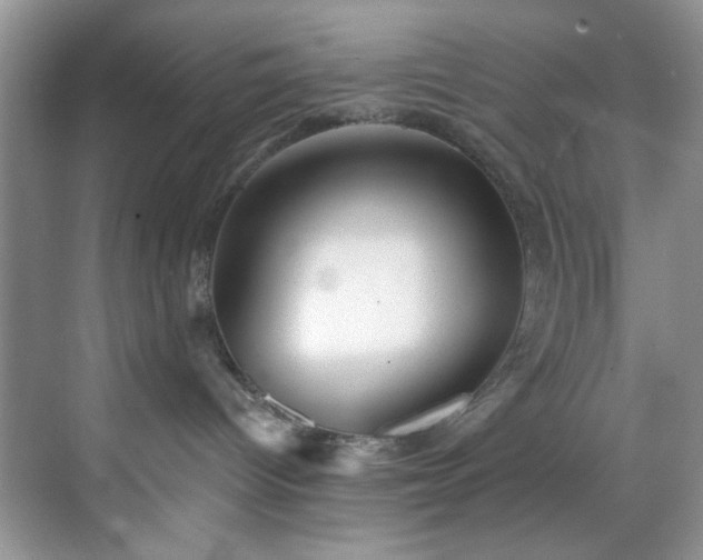 X0000070240096200606091346