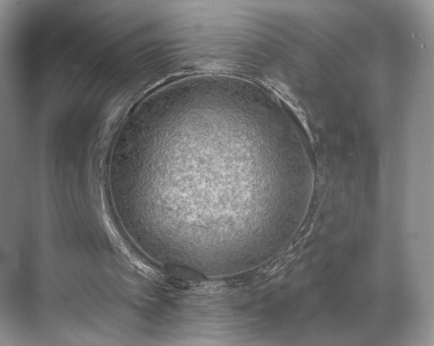 X0000070240097200606091345