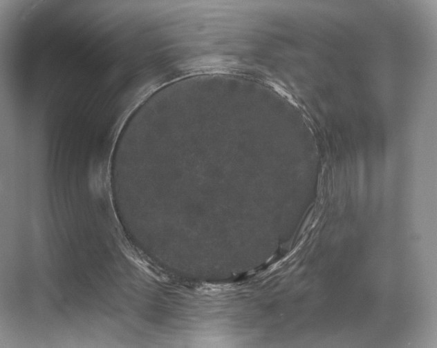 X0000070240099200606091345