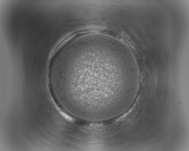 X0000070240101200606091345