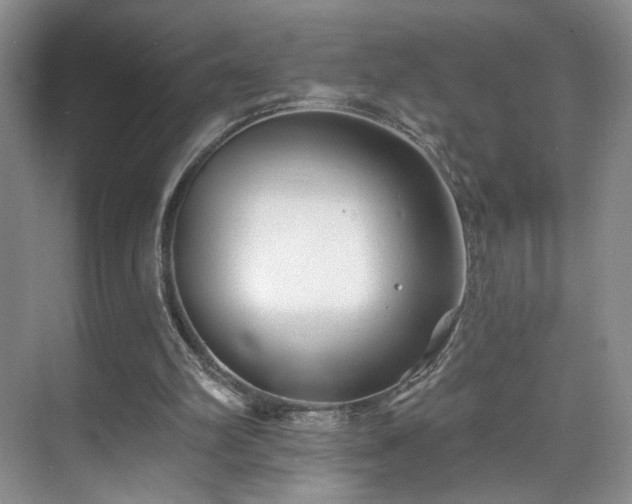 X0000070240102200606091345