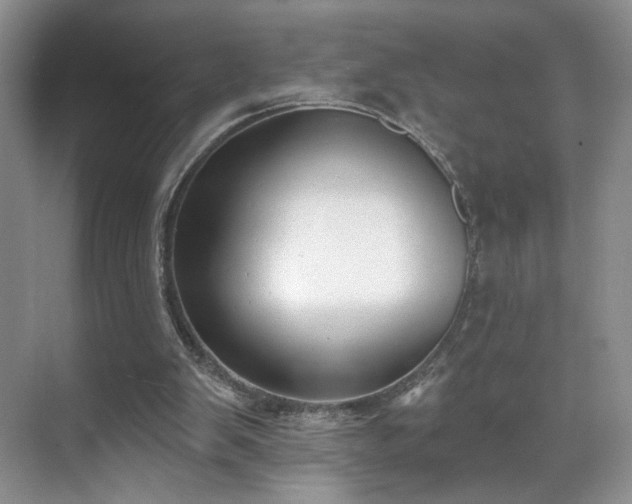 X0000070240103200606091345