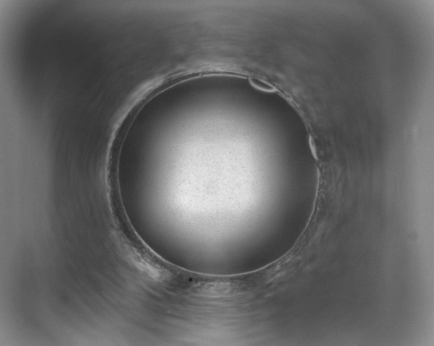 X0000070240104200606091345