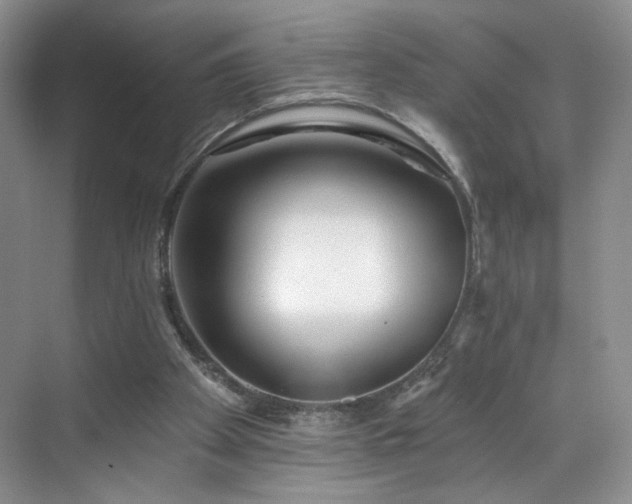 X0000070240105200606091345