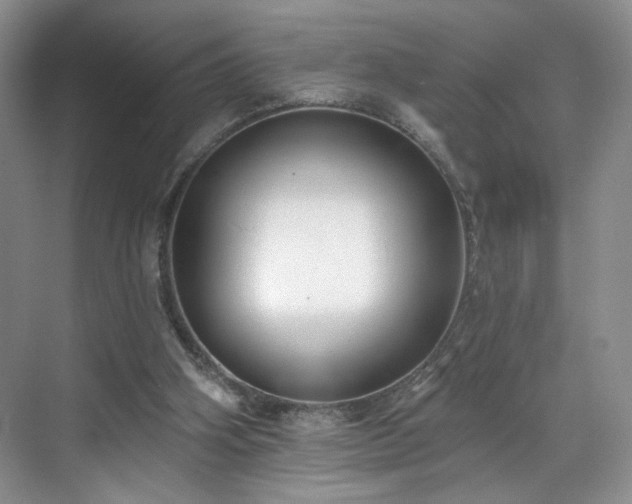 X0000070240106200606091345