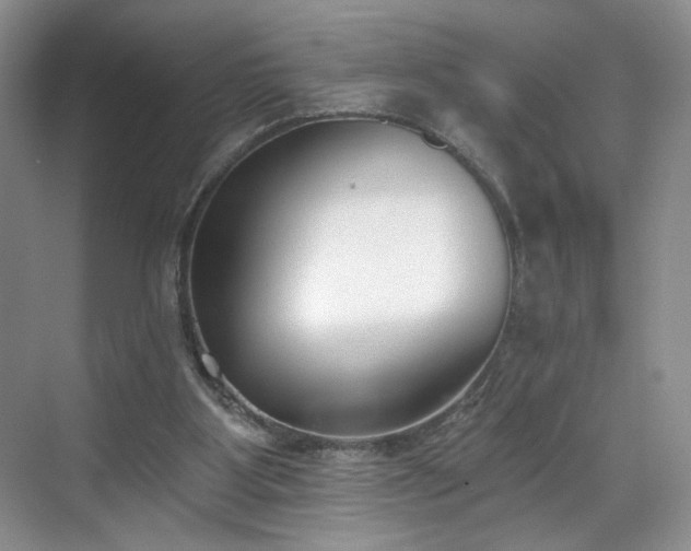 X0000070240107200606091345