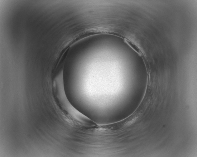 X0000070240109200606091345