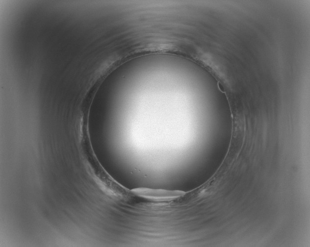 X0000070240110200606091345