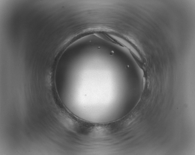 X0000070240111200606091345