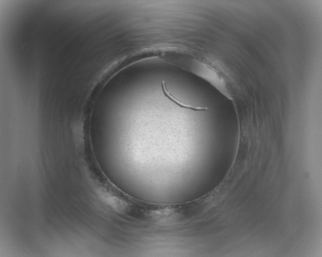 X0000070240112200606091345