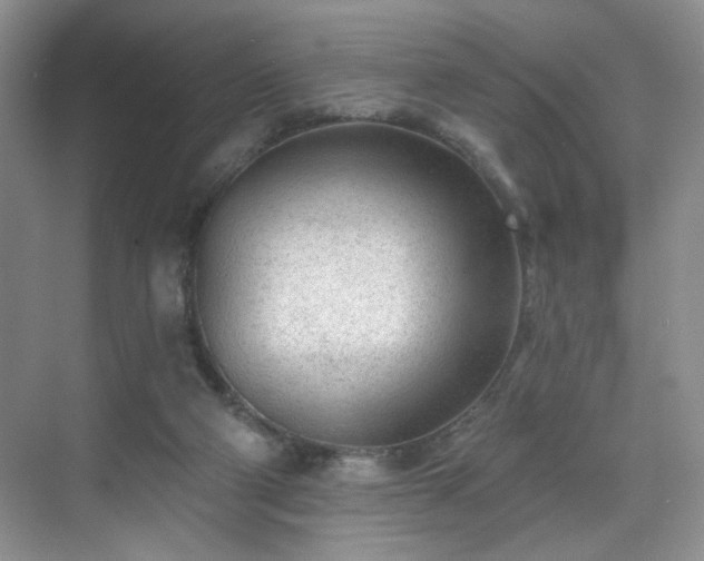 X0000070240114200606091345