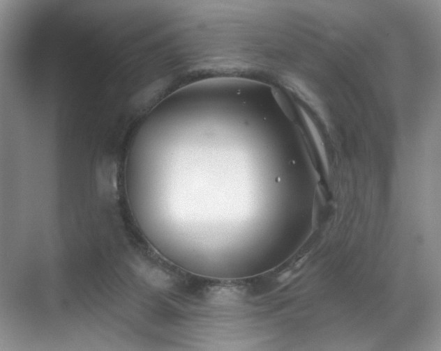 X0000070240115200606091345