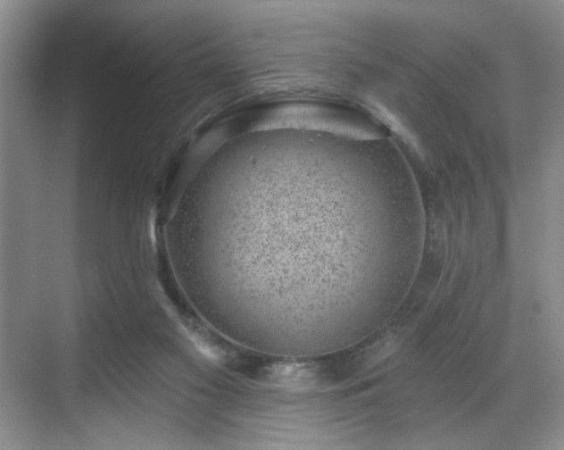 X0000070240117200606091345