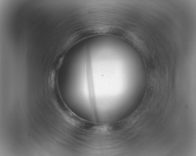 X0000070240118200606091345