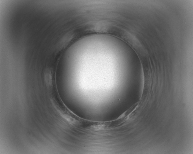 X0000070240120200606091345