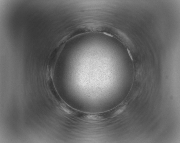 X0000070240121200606091345