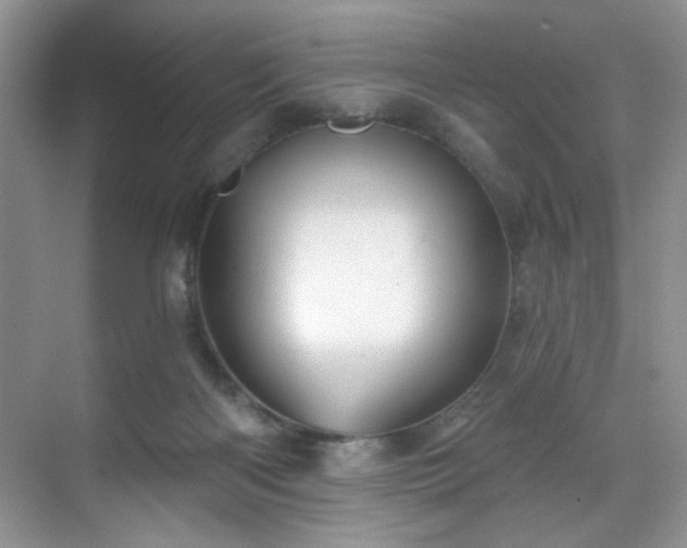 X0000070240122200606091345