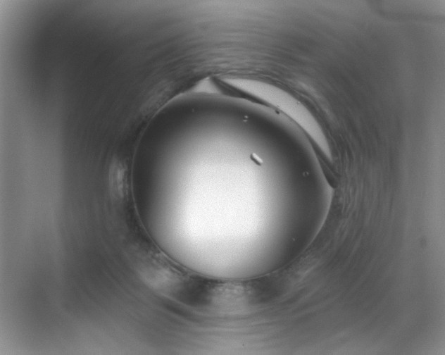 X0000070240123200606091345