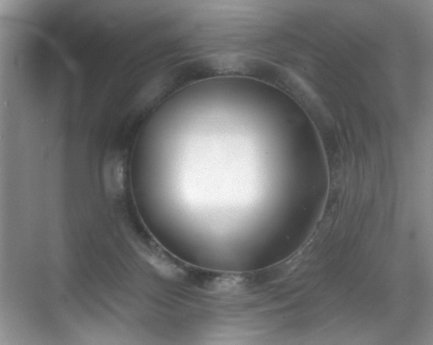 X0000070240124200606091345