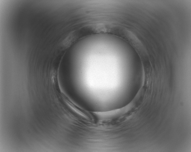 X0000070240125200606091345