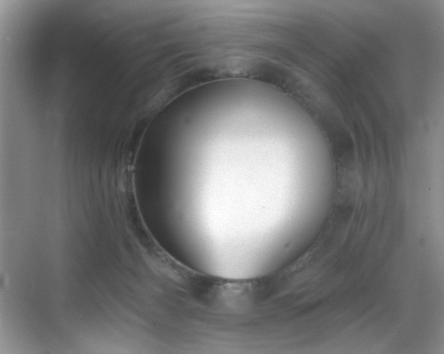 X0000070240126200606091345