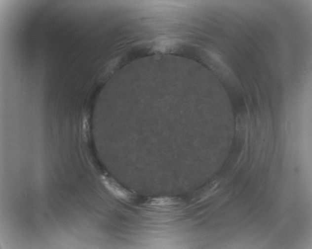 X0000070240127200606091345