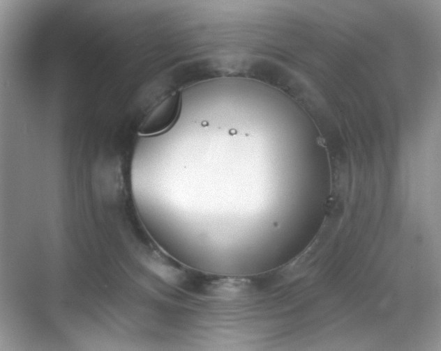 X0000070240128200606091345