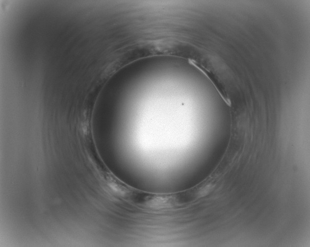 X0000070240129200606091344