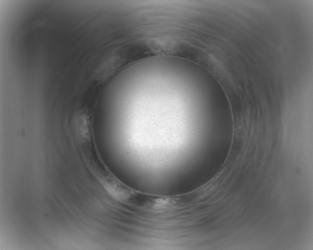 X0000070240130200606091344