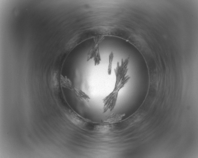 X0000070240131200606091344