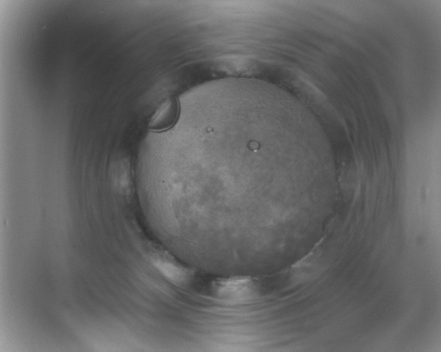 X0000070240132200606091344