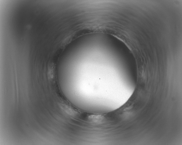 X0000070240133200606091344