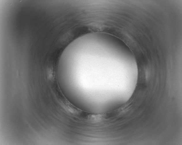 X0000070240134200606091344