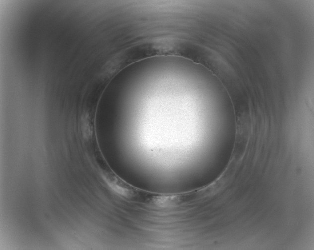 X0000070240136200606091344