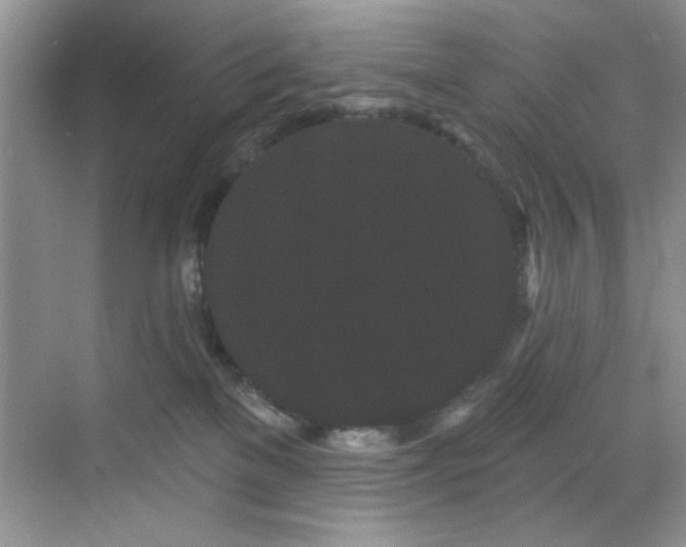 X0000070240137200606091344