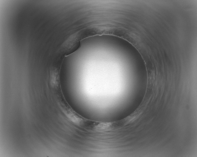 X0000070240138200606091344