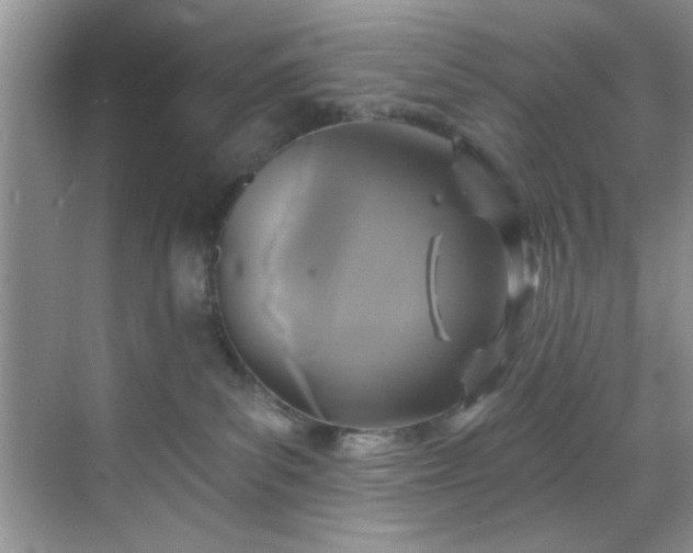 X0000070240139200606091344