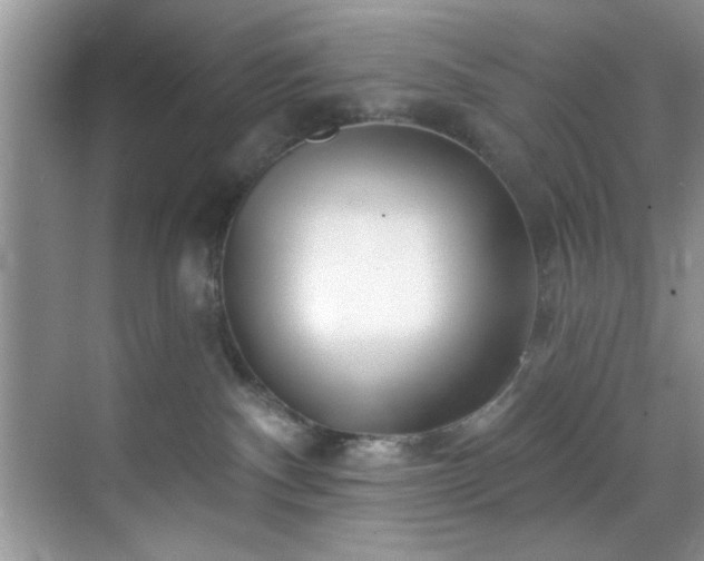 X0000070240140200606091344