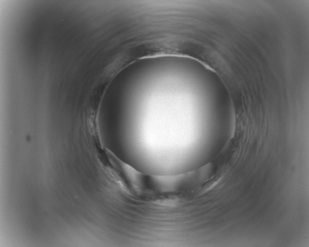 X0000070240141200606091344