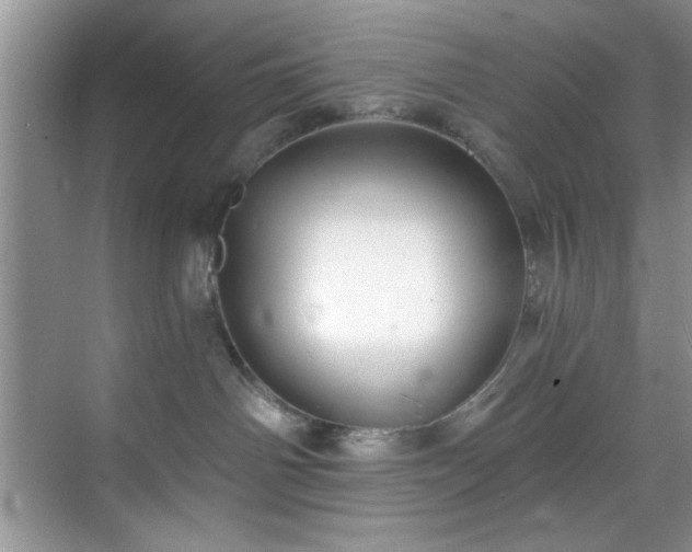 X0000070240142200606091344