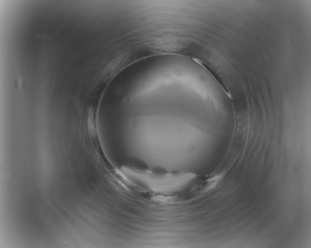 X0000070240143200606091344