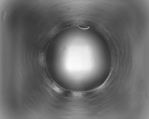 X0000070240144200606091344