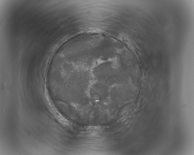 X0000070240145200606091343