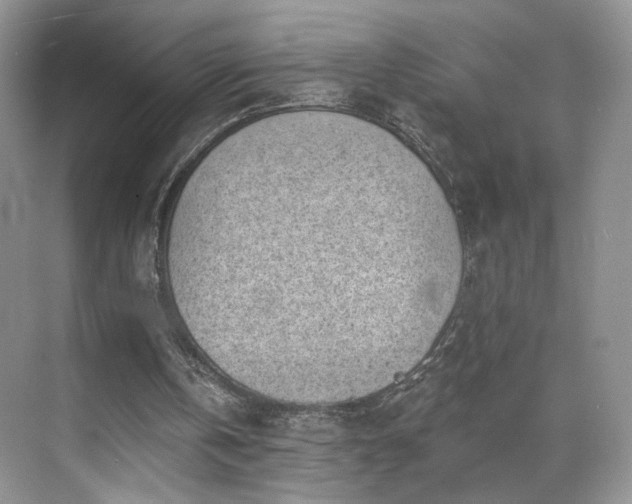 X0000070240146200606091343