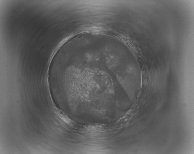 X0000070240147200606091343