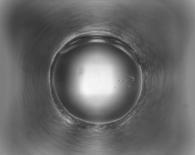 X0000070240148200606091343