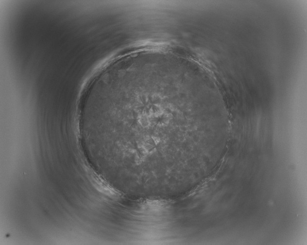 X0000070240149200606091343