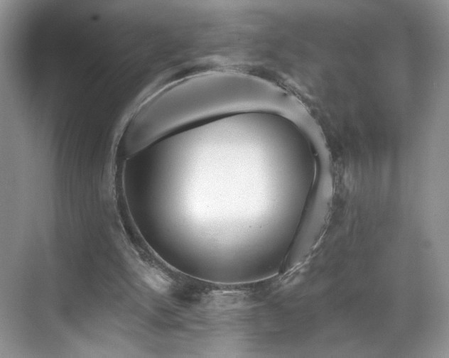 X0000070240150200606091344