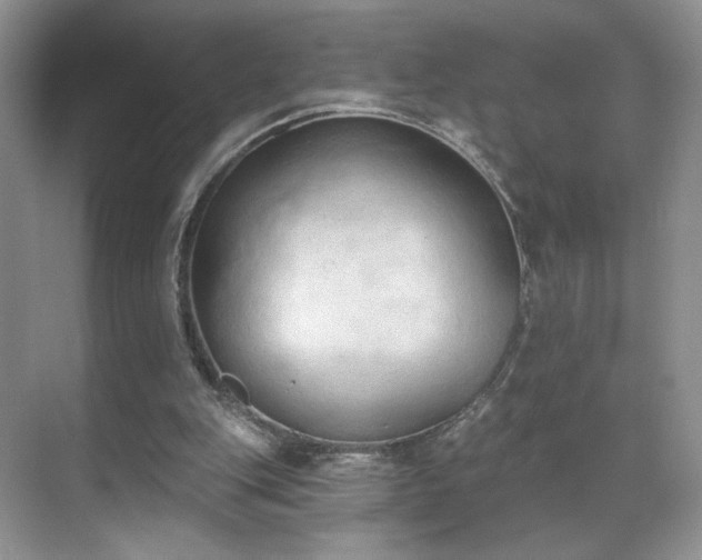 X0000070240151200606091344