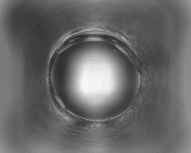 X0000070240152200606091344